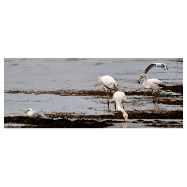 PHOTO84, CLUB, 84 , LUBERON